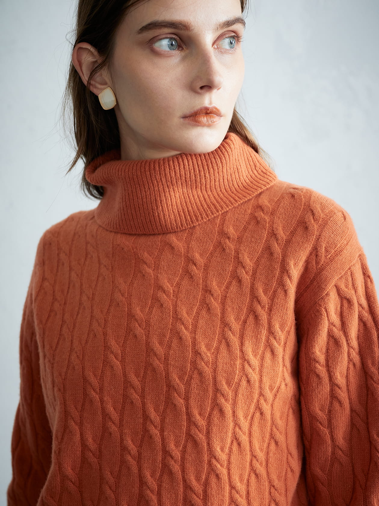 ケーブルニット タートルネック