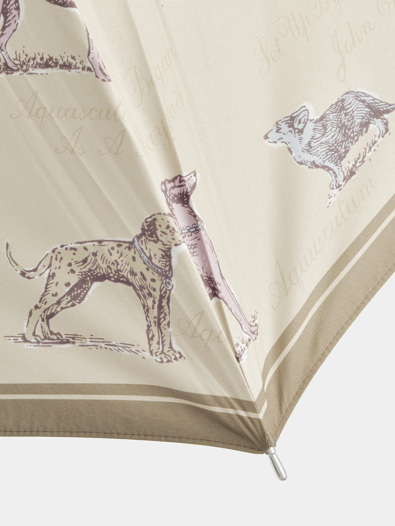 新作 Aquascutum アンティーク犬図鑑 晴雨兼用傘 折りたたみ傘 UV Aquascutum（アクアスキュータム）】アンティーク犬図鑑プリント